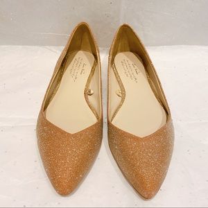NWOT Zara Ballet Flats